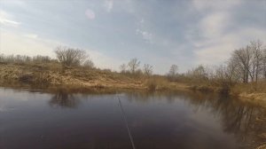 Ловля густеры  на течении , видео rybachil.ru
