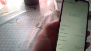 Обзор телефона Honor 9s