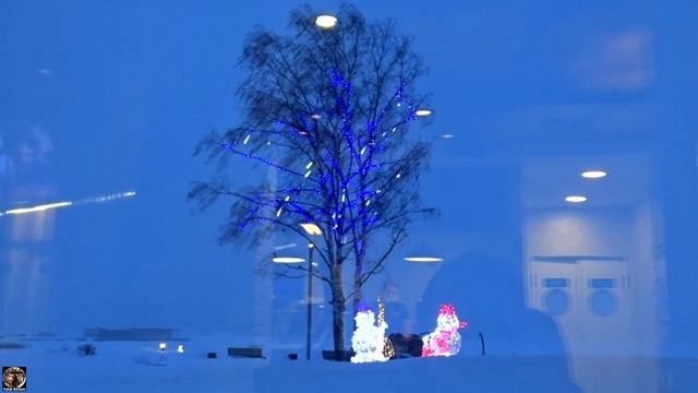 Сортавала зимой, наш выбор - гастрономическое путешествие ;) Кафе Сердоболь, г. Сортавала, Карелия.