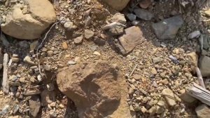 Почему платина дороже золота. Проверка хвостов Платинового прииска. Мини-шлюз в деле !