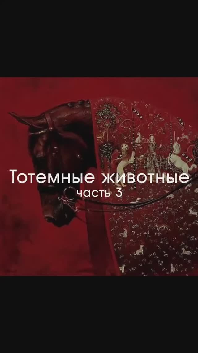 тотемные животные часть 3 смотреть онлайн