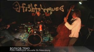 ВОЛКОВ  ТРИО часть 1