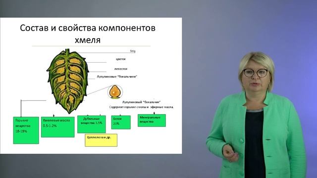 Видеолекция 3.3. Хмель и хмелевые препараты