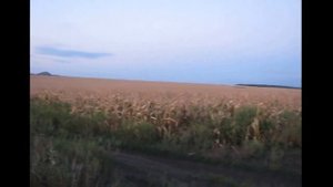 Ростовская область.Гуково.Хутор Ворошиловка.