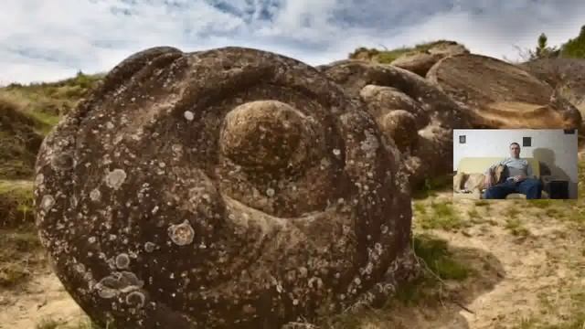 Трованты - странные живые камни, которые дают ростки и размножаются, стоит их только полить водой смотреть онлайн