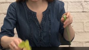 КАК ПОСТАВИТЬ ОРХИДЕЮ В БУКЕТ