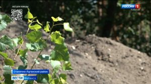 В селе Ольховом восстанавливают Садовую улицу