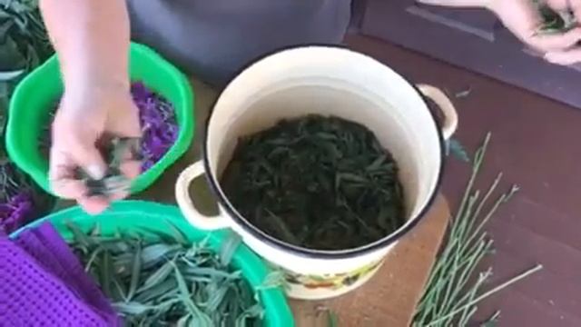 КОПОРСКИЙ ЧАЙ от ЕЛЕНЫ! ПРОВЕРЕННЫЙ РЕЦЕПТ! ЭТО ФАНТАСТИКА!