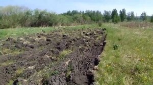 разработка нового участка\ Мотоблок Угра /Поднятая целина!\работа на целине\ЧАСТЬ 2