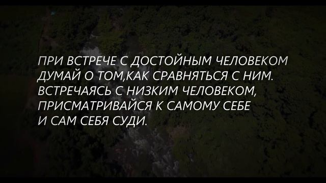 Немного о человечности