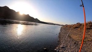 ОПЯТЬ КРУПНЯК НА ЗАКИДУШКИ !!! БигФиш пойман! Рыбалка на Реке Или! АМУР, САЗАН! Сентябрь 2021.