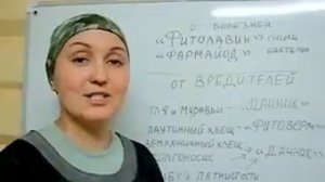 Чем обрабатывать и лечить клубнику в природном земледелии?