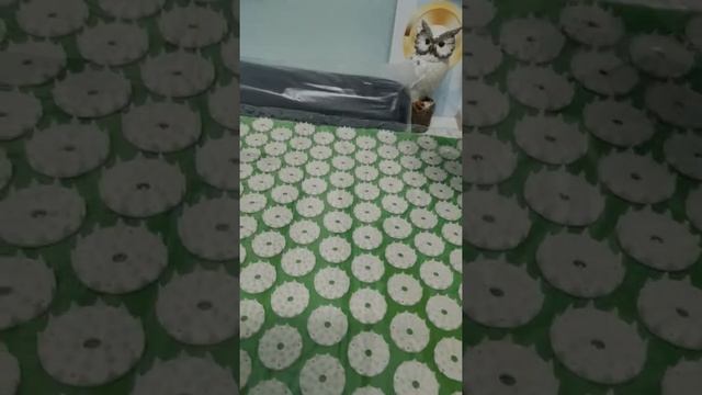 Мои заказы смотреть онлайн