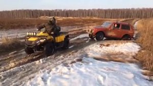 Квадрацикл