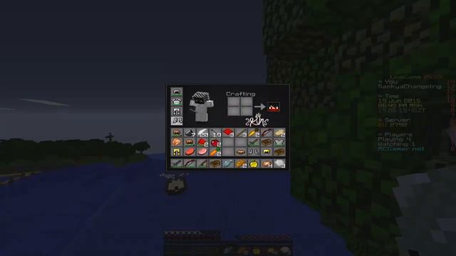Minecraft SG - Кто же это?:)