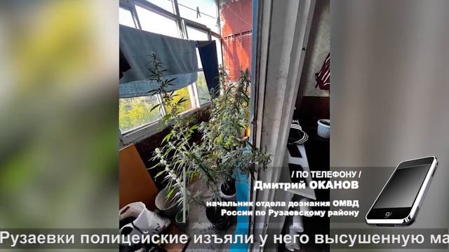 Приговор за сад на балконе | The verdict for the garden on the balcony смотреть онлайн