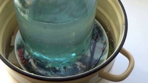 Кимчи рецепт капусты по корейски