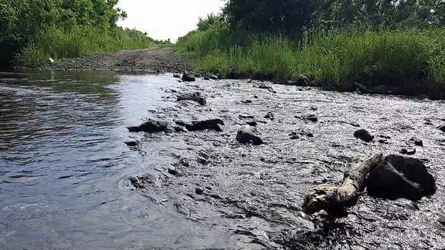 Река Крутоярка
