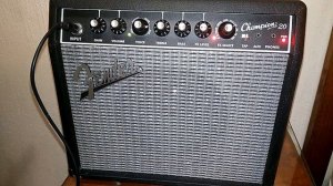 Fender champion 20