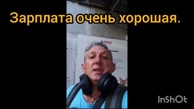 Ветеринарные вакансии  Спрос и предложение  Требуется ветврач терапевт и хирург  Август 2023
