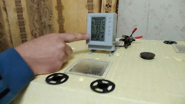 Вывод Кучинских цыплят, сажаем в брудер! смотреть онлайн