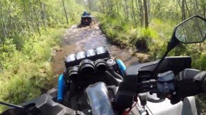 Обкатка Stels Guepard 850 2.0