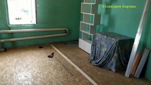 Потолок. Ремонт потолка. ОСП