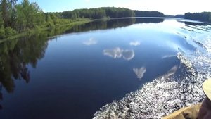 Поездка выходного дня.о.Струпино