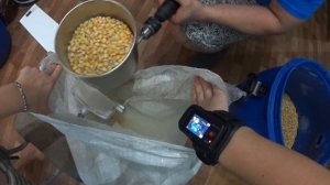 Дробление Кукурузы на Мельнице для солода Corona 500