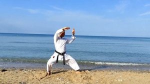 Хейан йондан под музыку. ALMAZ каратэ клуб.(Учебное пособие, shotokan kata xeian-yondan)