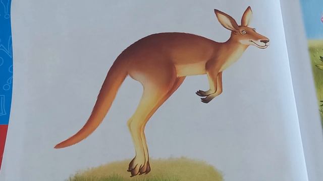 Видеоурок "Изучаем животных" часть 3 смотреть онлайн