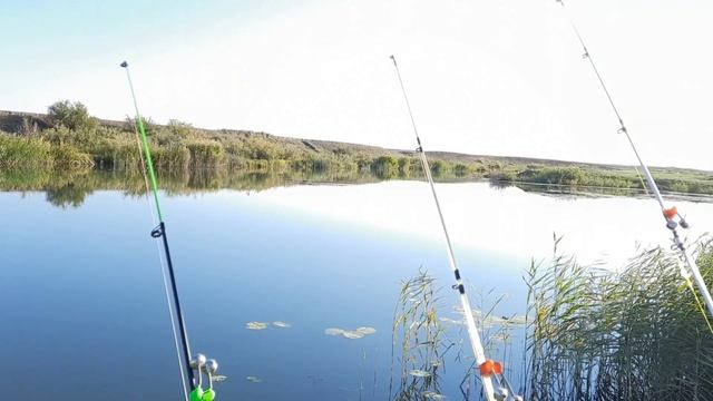 удилище для ловли на донку смотреть онлайн