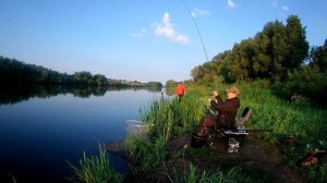 Ловля карася на реке. Рыбалка на фидер. Июль. (LiveFishing)