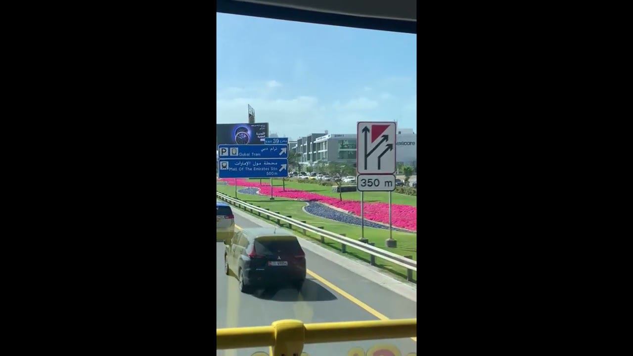 дорога из окна автобуса