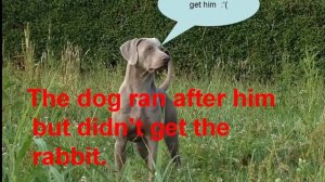 The rabbit and the dog- Aesop's fable (music: The farmer in the dell )