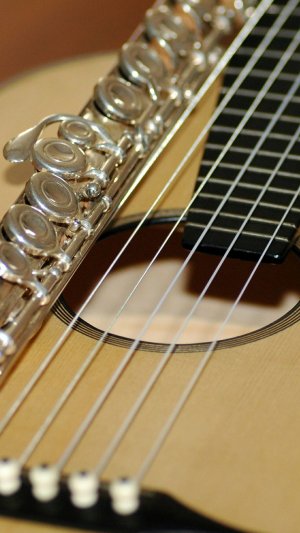 Дуэт флейта и гитара