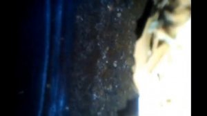 Чистка бойлера и тэна от накипи