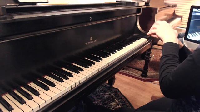 Piano Technique: D minor five-finger position (legato to staccato) смотреть онлайн