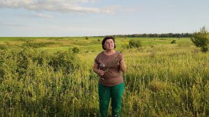 Знакомство с травянистыми растениями.