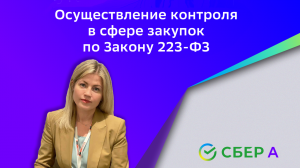 Осуществление контроля в сфере закупок по Закону 223-ФЗ