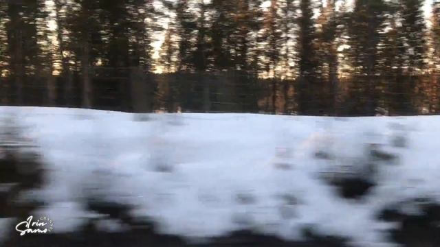 ЗВУКИ ПОЕЗДА 15 МИНУТ//Для любителей стука колес поезда//Train Sounds Ambient White Noise Soundscap