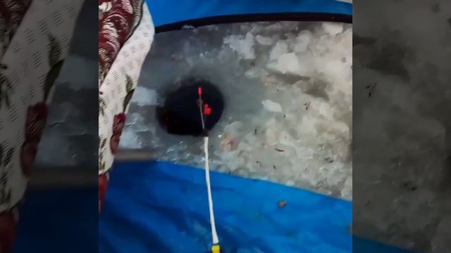 Зимняя рыбалка. Десногорское водохранилище смотреть онлайн