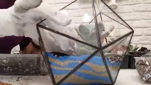 Создание флорариума Икосаэдр своими руками