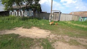 Старая деревня Малая Уря основанная в 1630г.Канский район красноярского края.