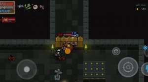 Soul Knight багиии