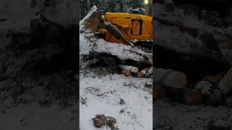Трактор застрял в болоте Т-170 #зил131дизель