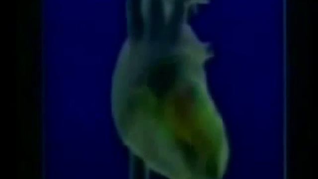 О пользе Щелочной Воды, Щелочная Вода - Восстанавливает Организм