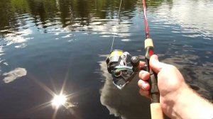 Рыбалка на спиннинг SHIMANO CATANA EX 165UL. Лодка АКВА-ОПТИМА 190