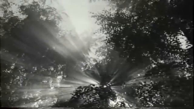 На стихи Анны Приченой "ЭТО ГОРЬКАЯ БЫЛЬ". Автор, исполнитель Елена Кефалиди. смотреть онлайн