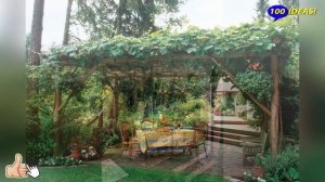 Ideas for garden improvement: "live" gazebos, canopies, pergolas. 35 interesting ideas.